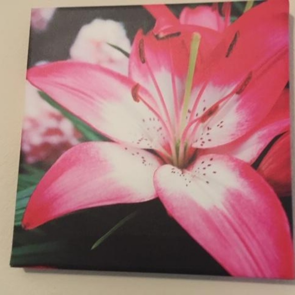 CANVAS ART- LIMITED EDITION.